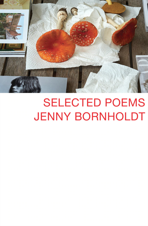 Selected Poems Jenny Bornholdt - Strange Goods