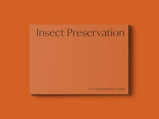 Insect Preservation (A Comprehensive Guide)